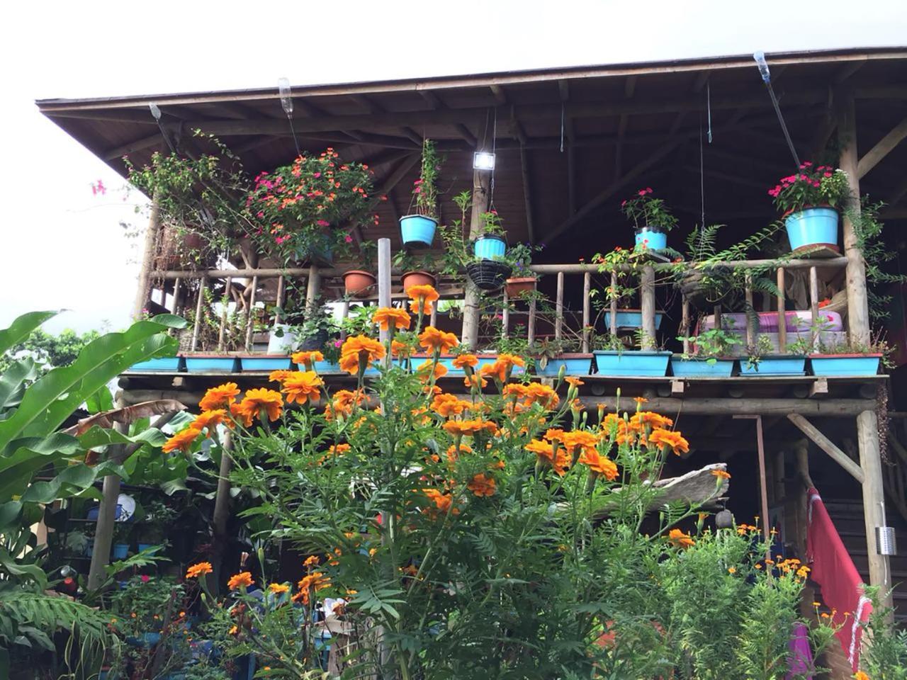 Wood House Hostel La Fortuna Extérieur photo