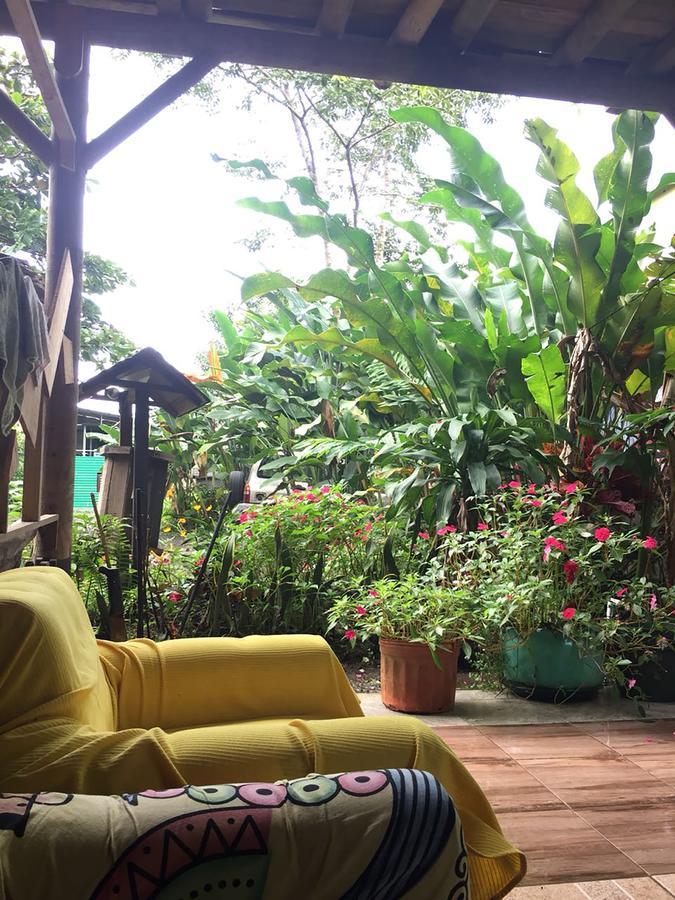 Wood House Hostel La Fortuna Extérieur photo