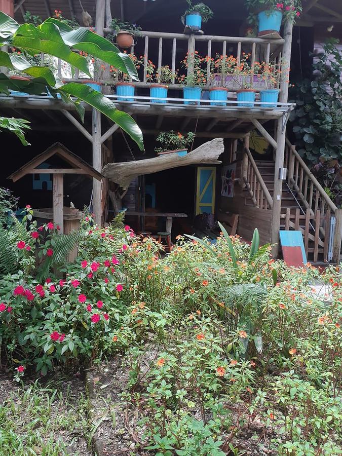 Wood House Hostel La Fortuna Extérieur photo